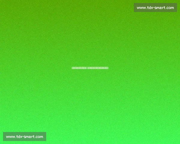 布莱顿主场迎战切尔西 双方激烈对决期待上演精彩碰撞